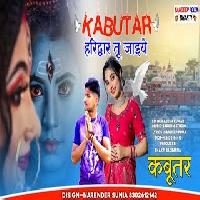 Kabootar Haridwar Tu Jaiye New Bhole Song 2022 By Ajesh Kumar Poster
